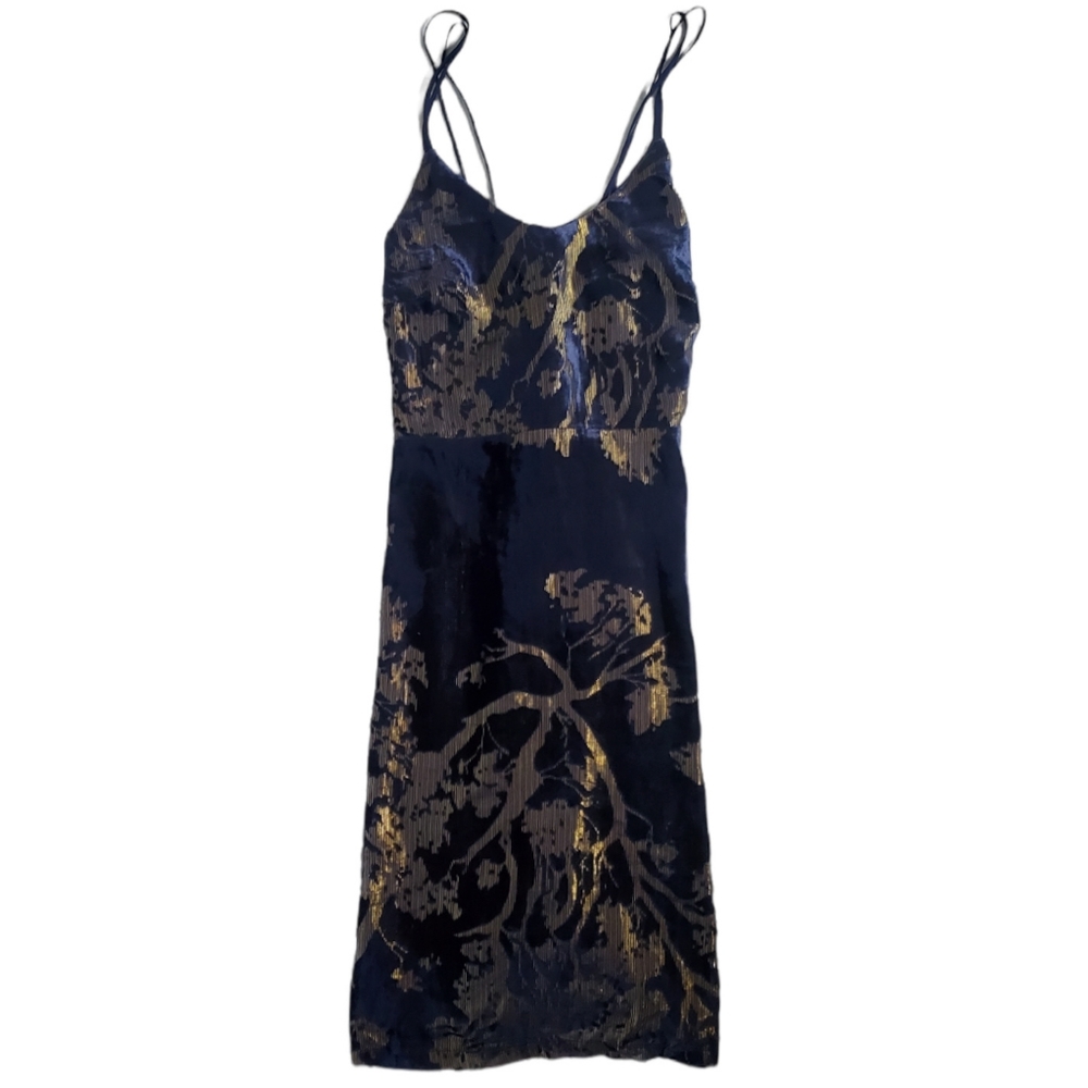 NWT Blue Velvet and Gold Forest Mini Dress